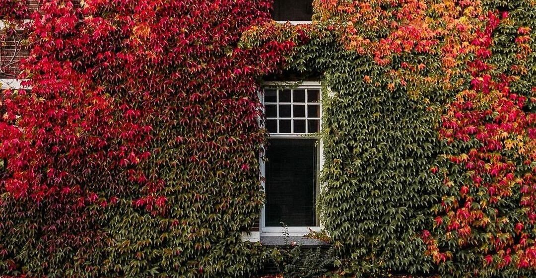 Evidences of the One World